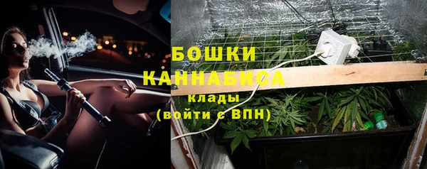 тгк Лагань