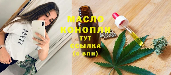 тгк Лагань