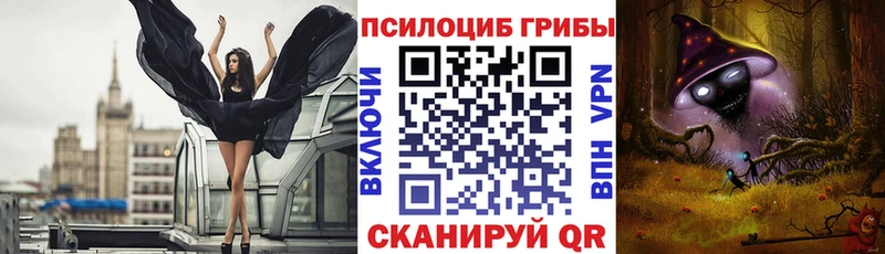 купить   Медвежьегорск  Галлюциногенные грибы MAGIC MUSHROOMS 