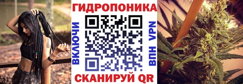 где продают наркотики  Медвежьегорск  ОМГ ОМГ ссылки  даркнет какой сайт  Каннабис White Widow 